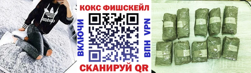 Cocaine Перу Злынка