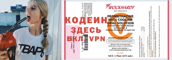 хмурый Долгопрудный