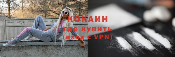 хмурый Долгопрудный