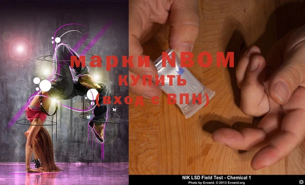 хмурый Долгопрудный